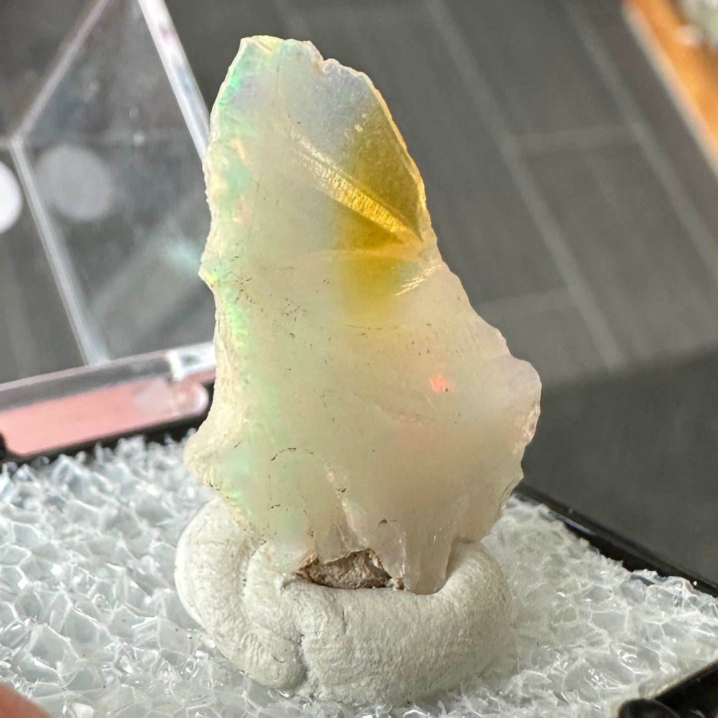 Stunning A+ Welo Opal in Perky Box from Ethiopia