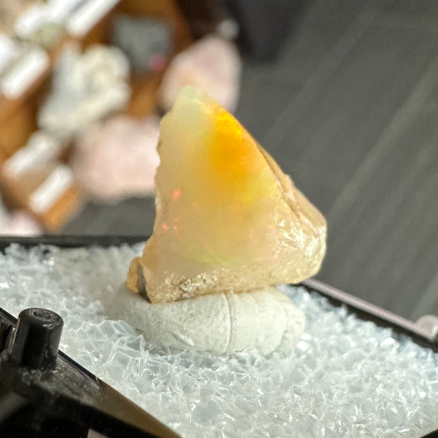 Stunning A+ Welo Opal in Perky Box from Ethiopia