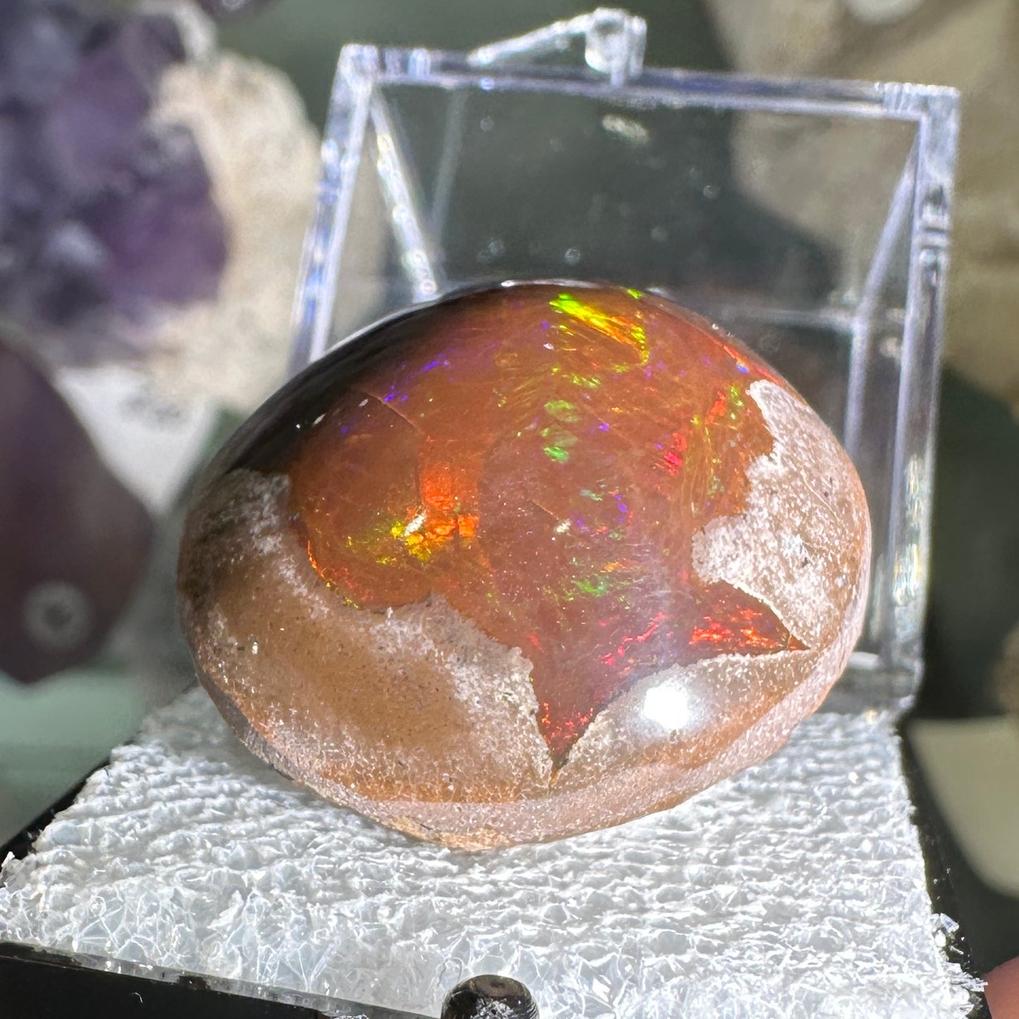 63ct A+ Polished Ethiopian Chocolate Opal in Perky Box