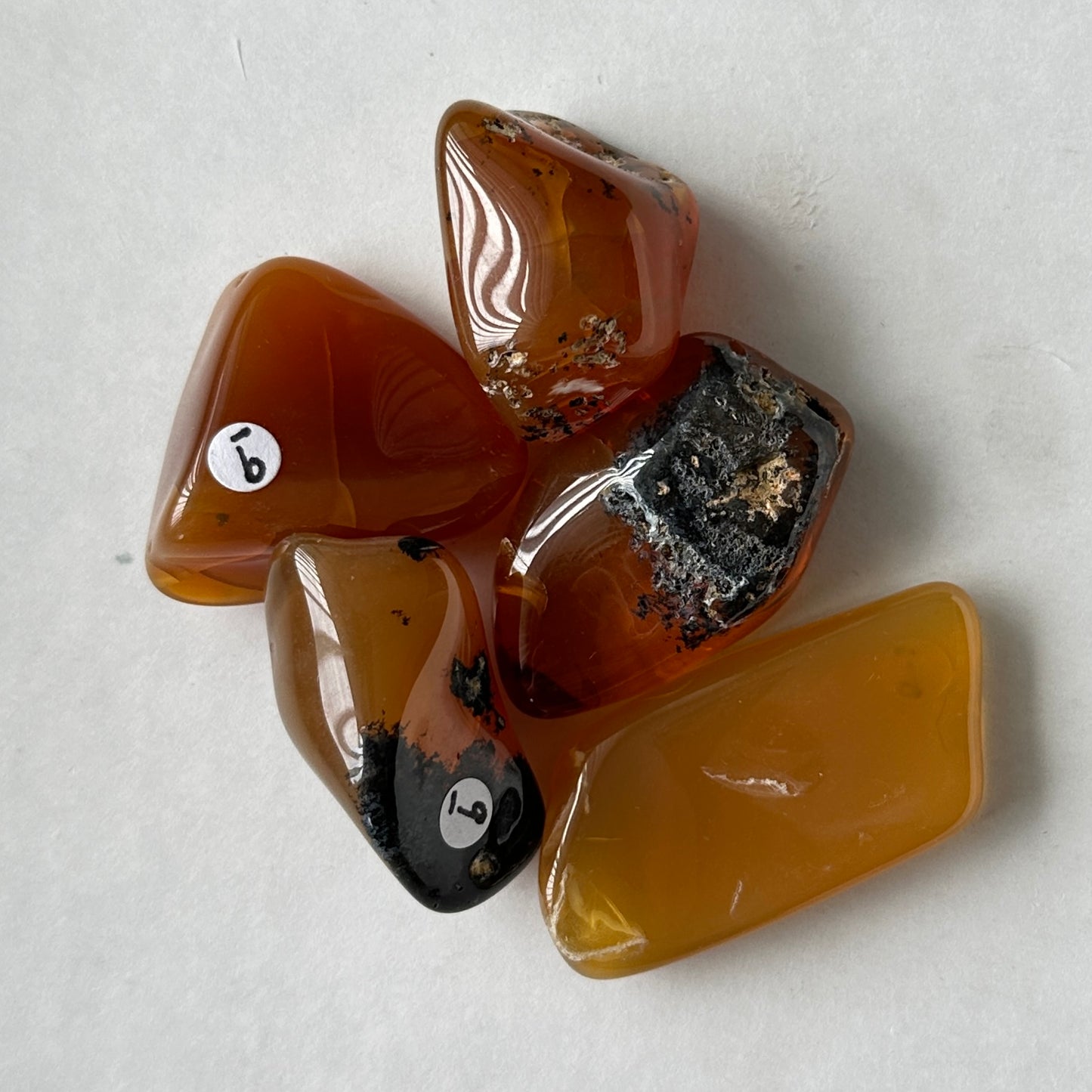 Medium Tumbled Orange Oregon Opal