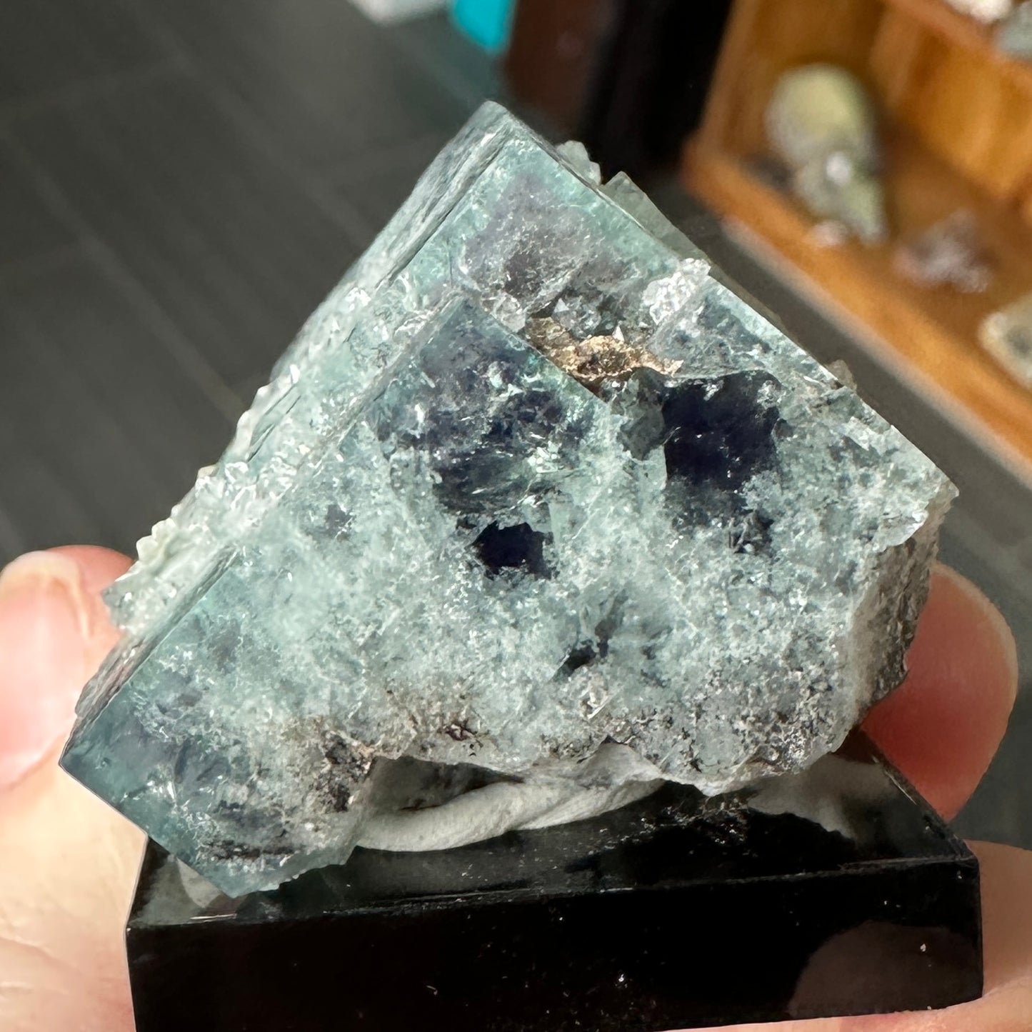 Miniature Size Green-Blue Daylight UV Reactive Fluorite with Quartz from the Hidden Forest Pocket, Diana Maria Mine, UK