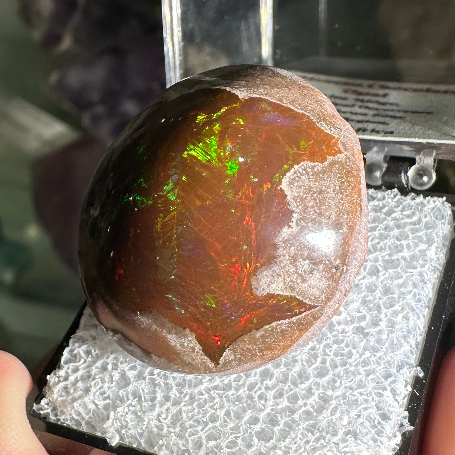 63ct A+ Polished Ethiopian Chocolate Opal in Perky Box