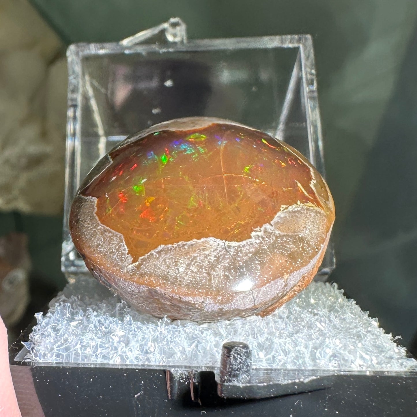 55.50ct A+ Polished Ethiopian Chocolate Opal in Perky Box