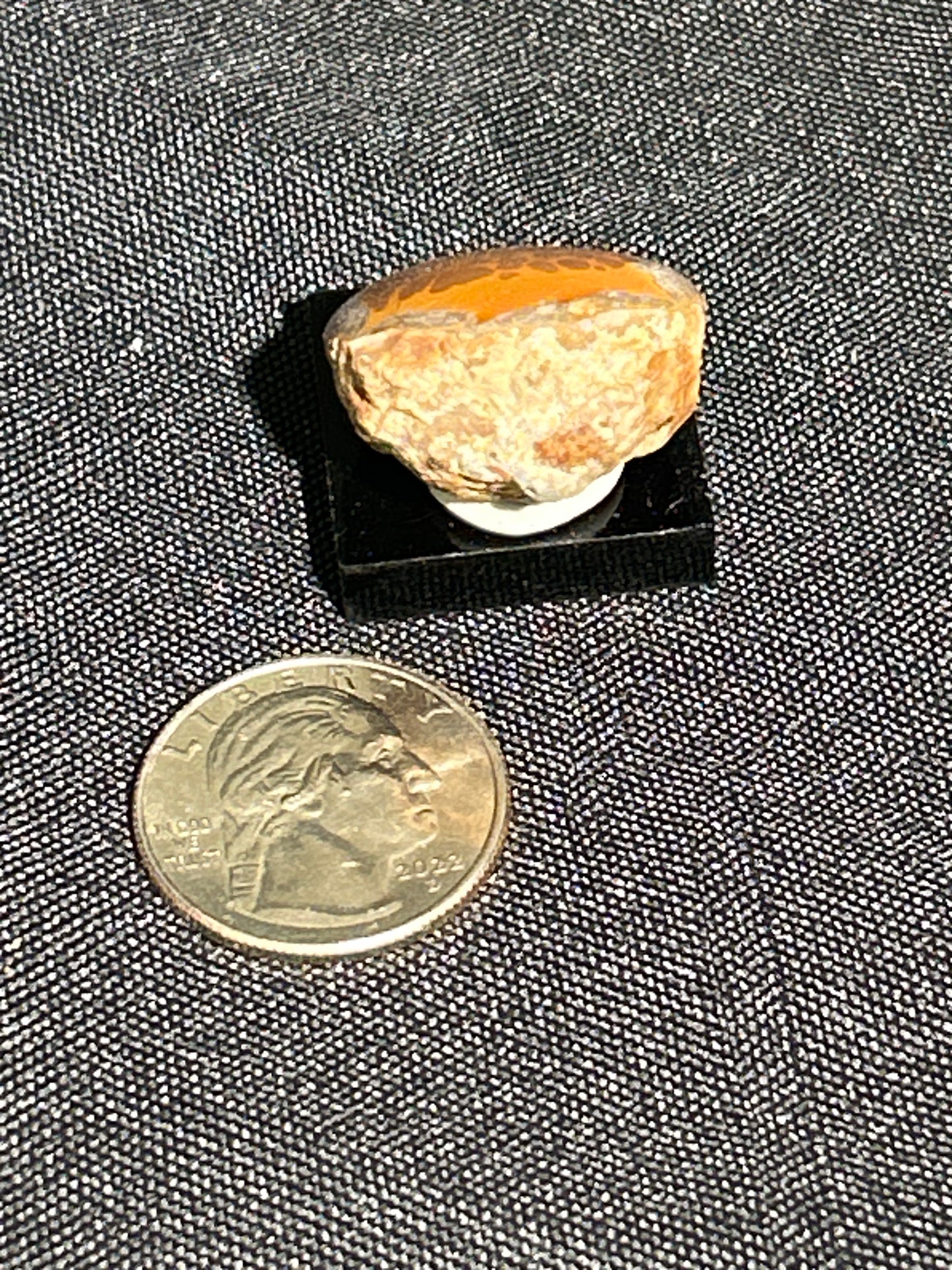 Polished Chocolate Opal from Ethiopia