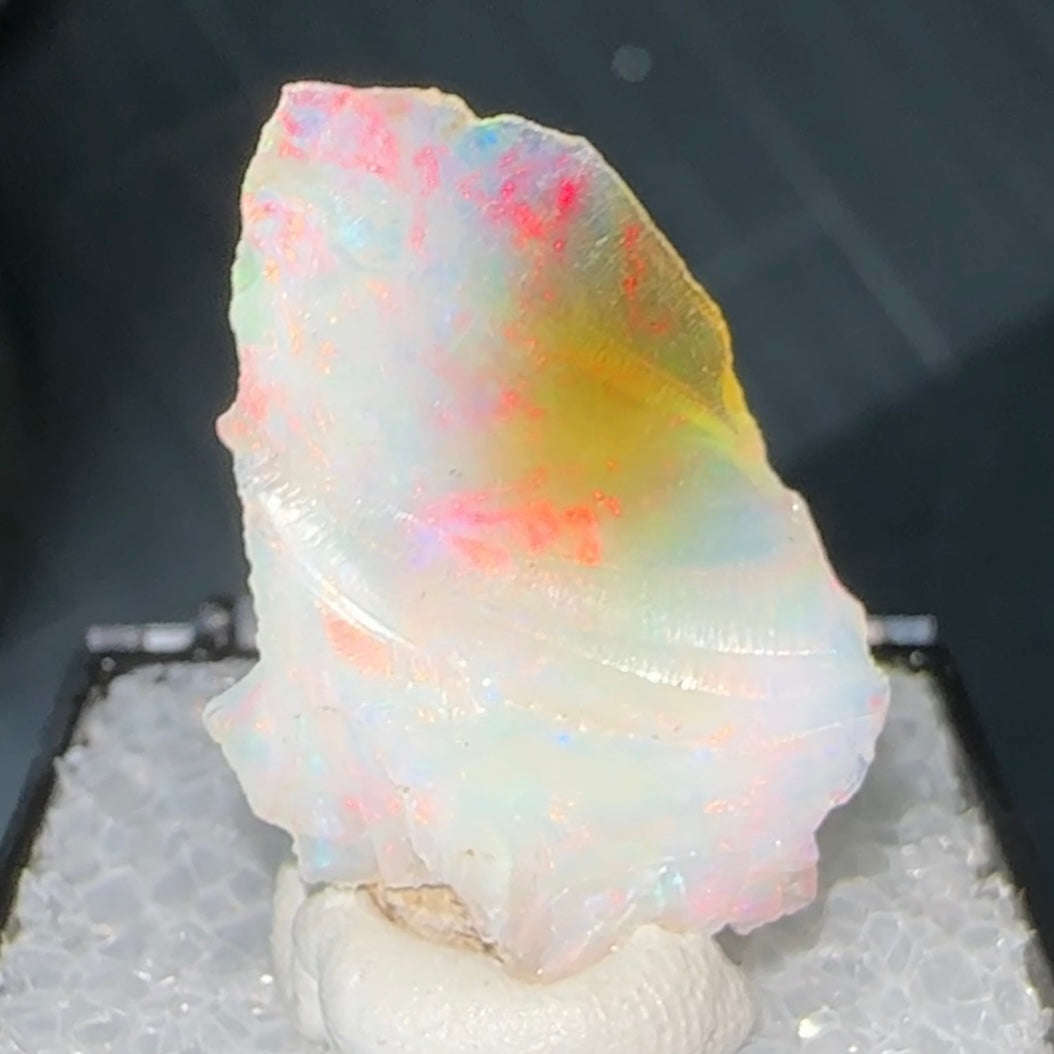 Stunning A+ Welo Opal in Perky Box from Ethiopia