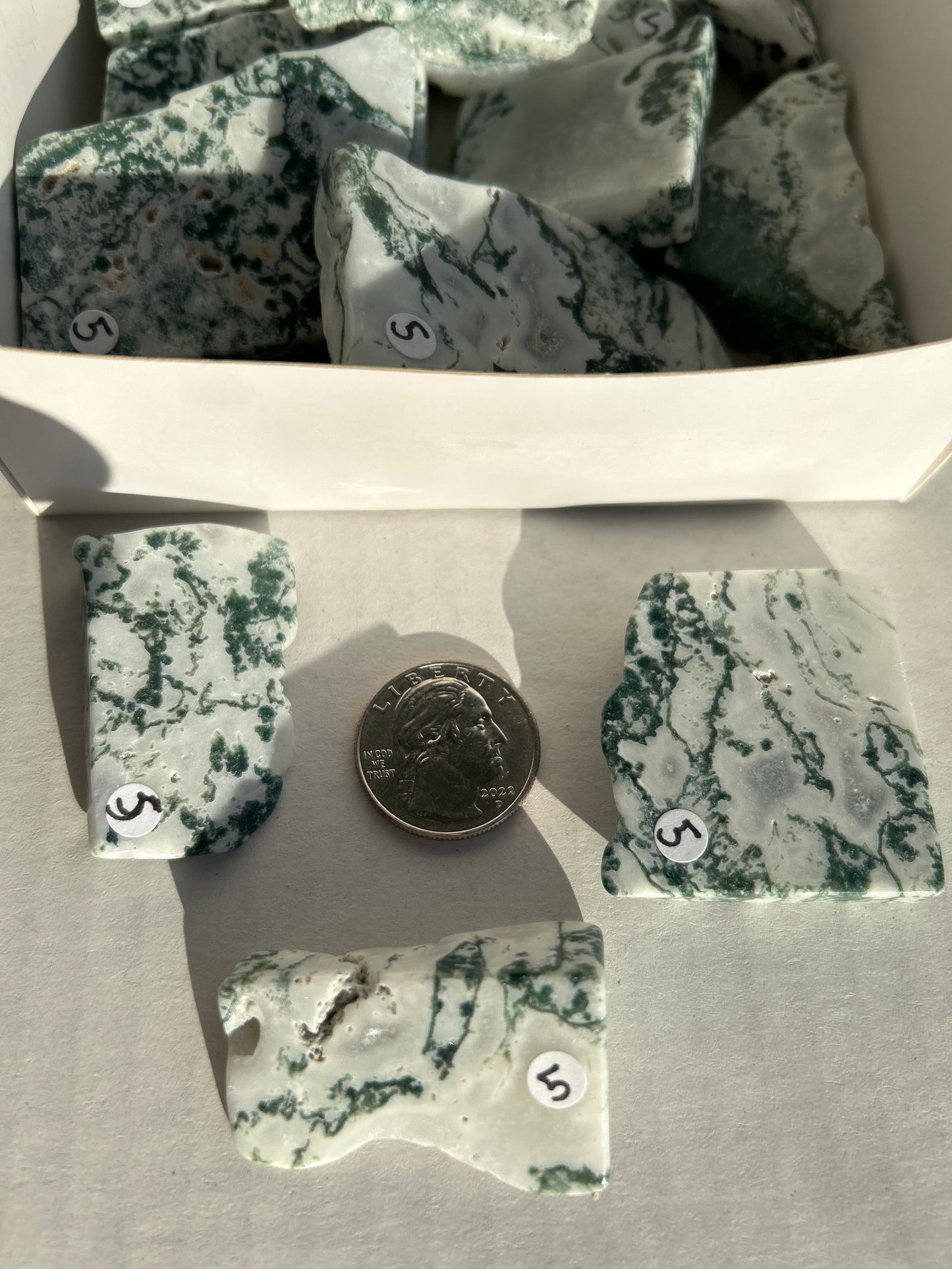 Tree Agate Polished Slab from Brazil