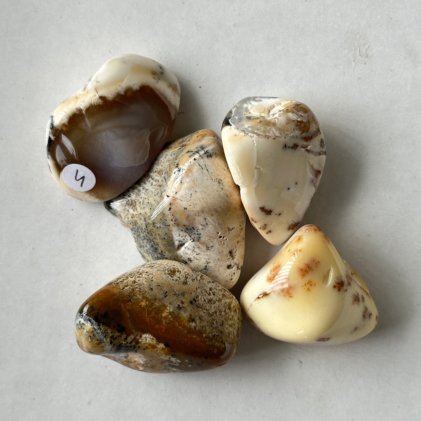 Medium Tumbled Dendritic Opal from Turkey
