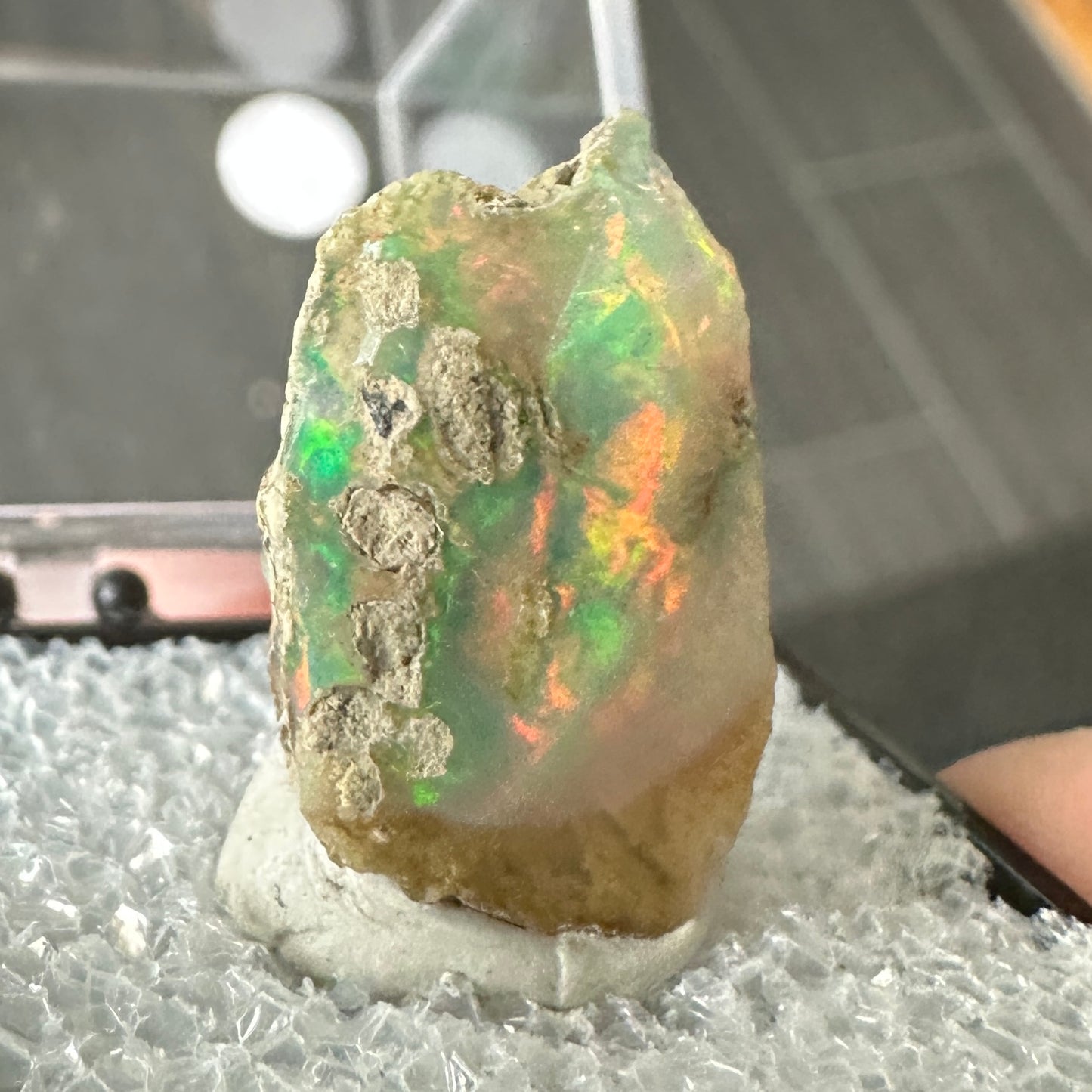 Stunning A+ Welo Opal in Perky Box from Ethiopia