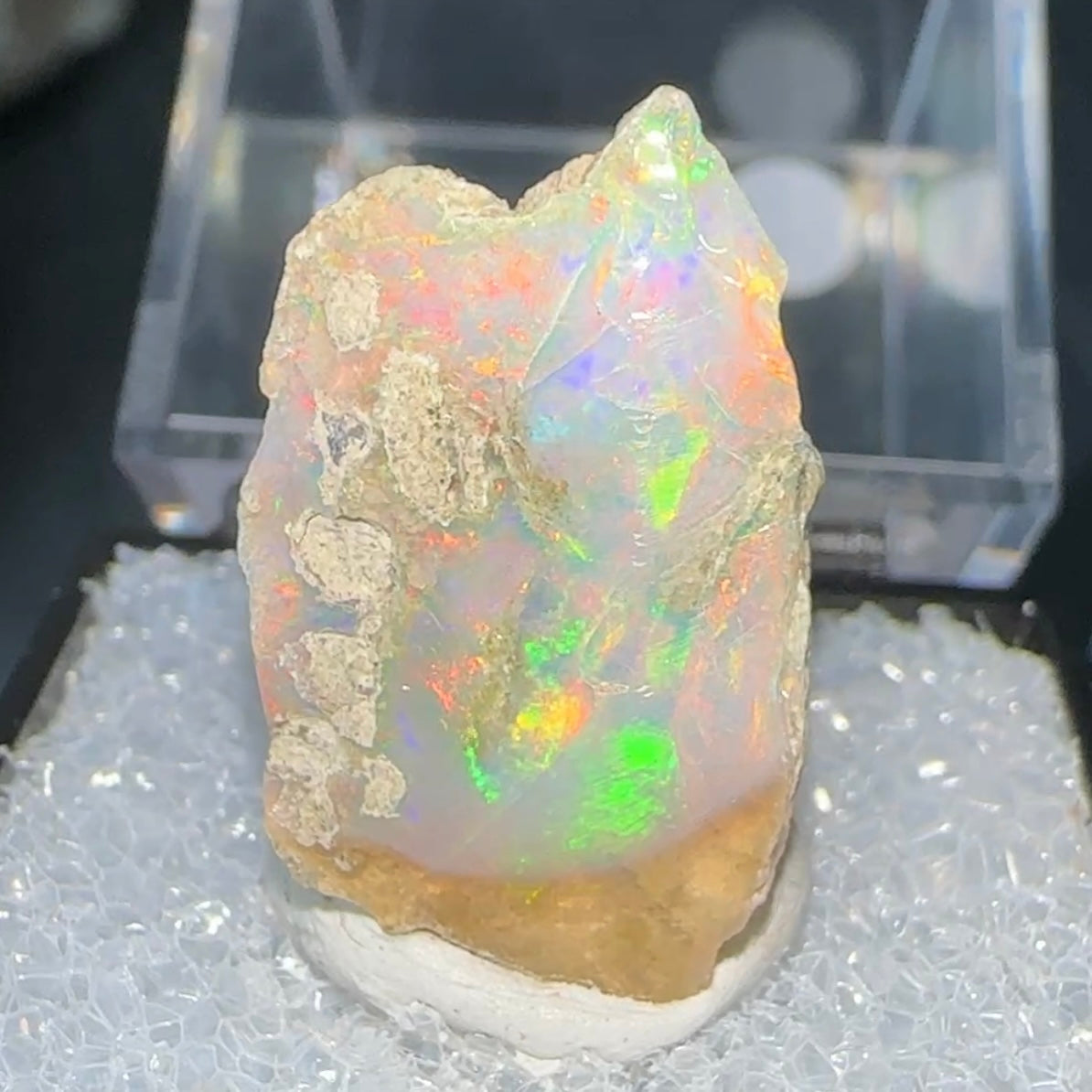 Stunning A+ Welo Opal in Perky Box from Ethiopia