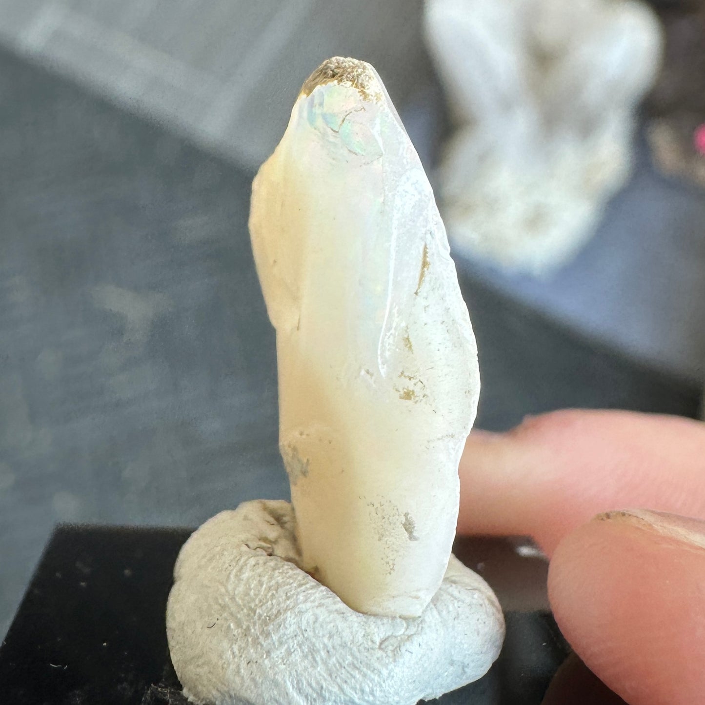 Stunning 1.55g A+ Welo Opal from Ethiopia