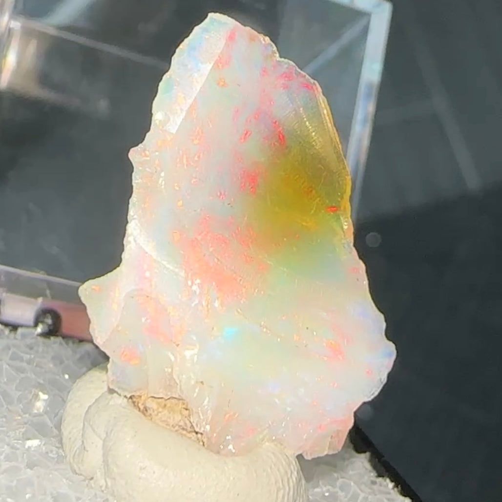 Stunning A+ Welo Opal in Perky Box from Ethiopia