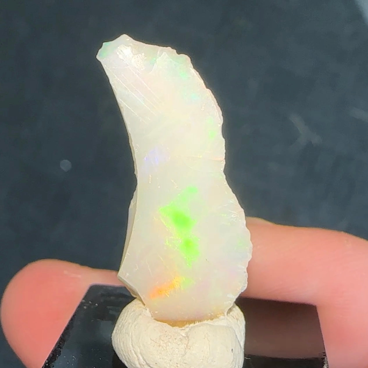 Stunning 1.37g A+ Welo Opal from Ethiopia