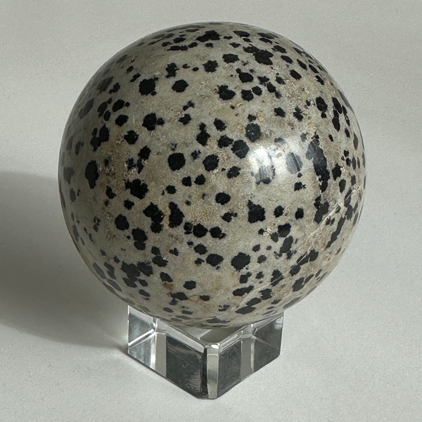 5.75cm Dalmatian Jasper Sphere from Mexico