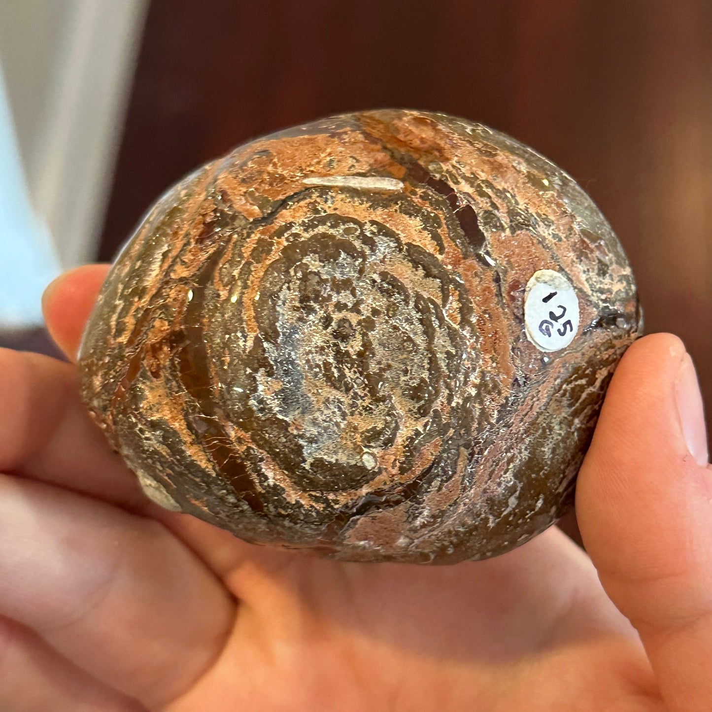 Marcela- 125g Hand-Polished Chocolate Opal from Ethiopia