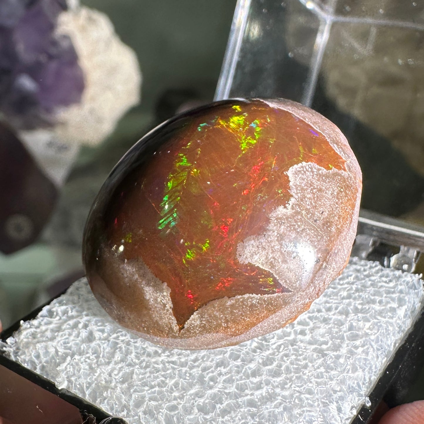 63ct A+ Polished Ethiopian Chocolate Opal in Perky Box