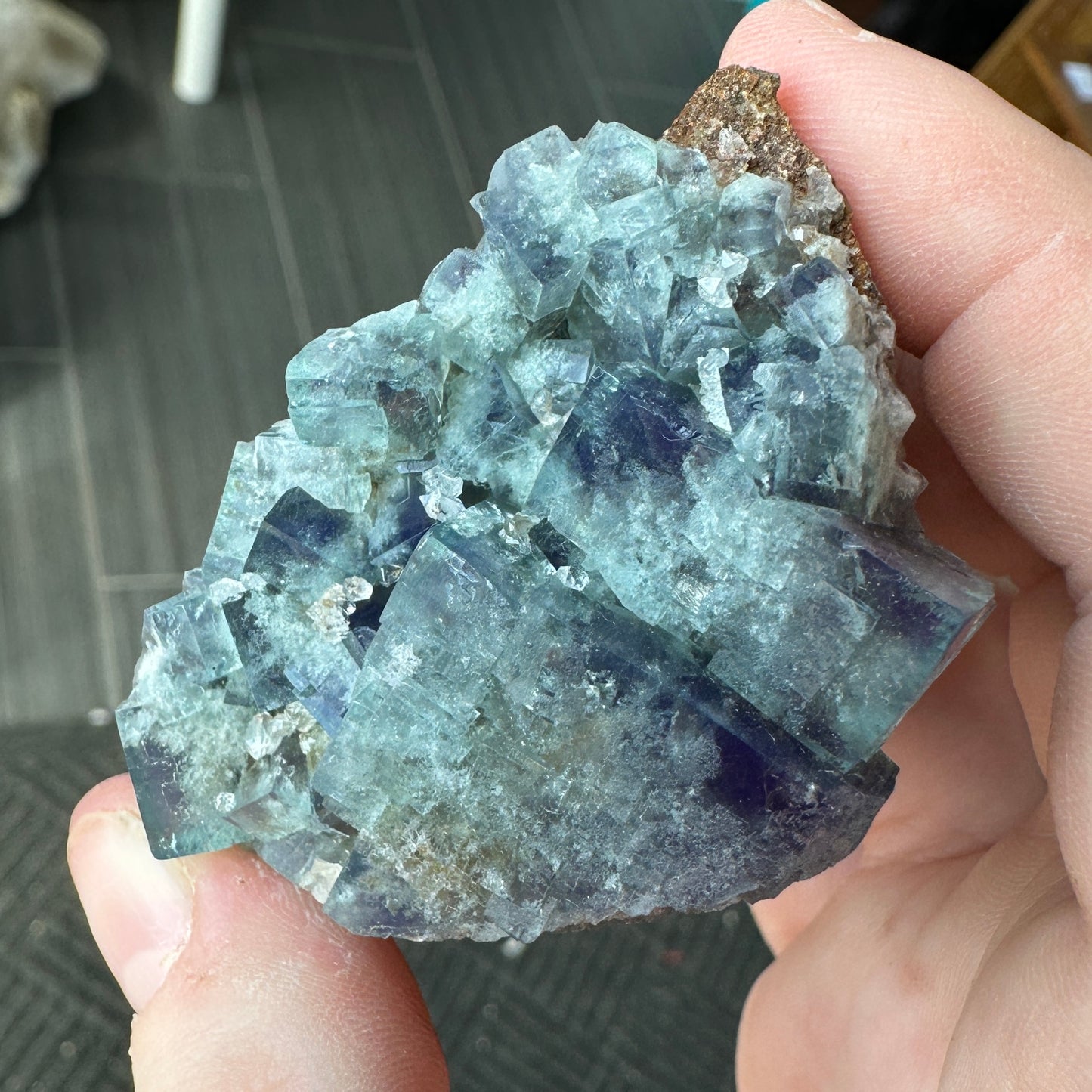 Cabinet Size Green-Blue Daylight UV Reactive Fluorite with Quartz from the Hidden Forest Pocket, Diana Maria Mine, UK