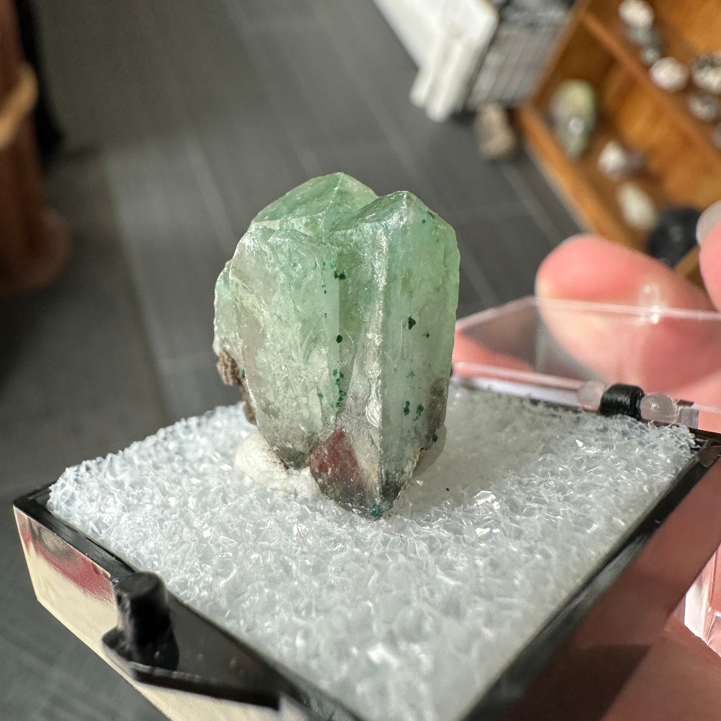 Malachite Included Baryte Perky Box Specimen from DR Congo