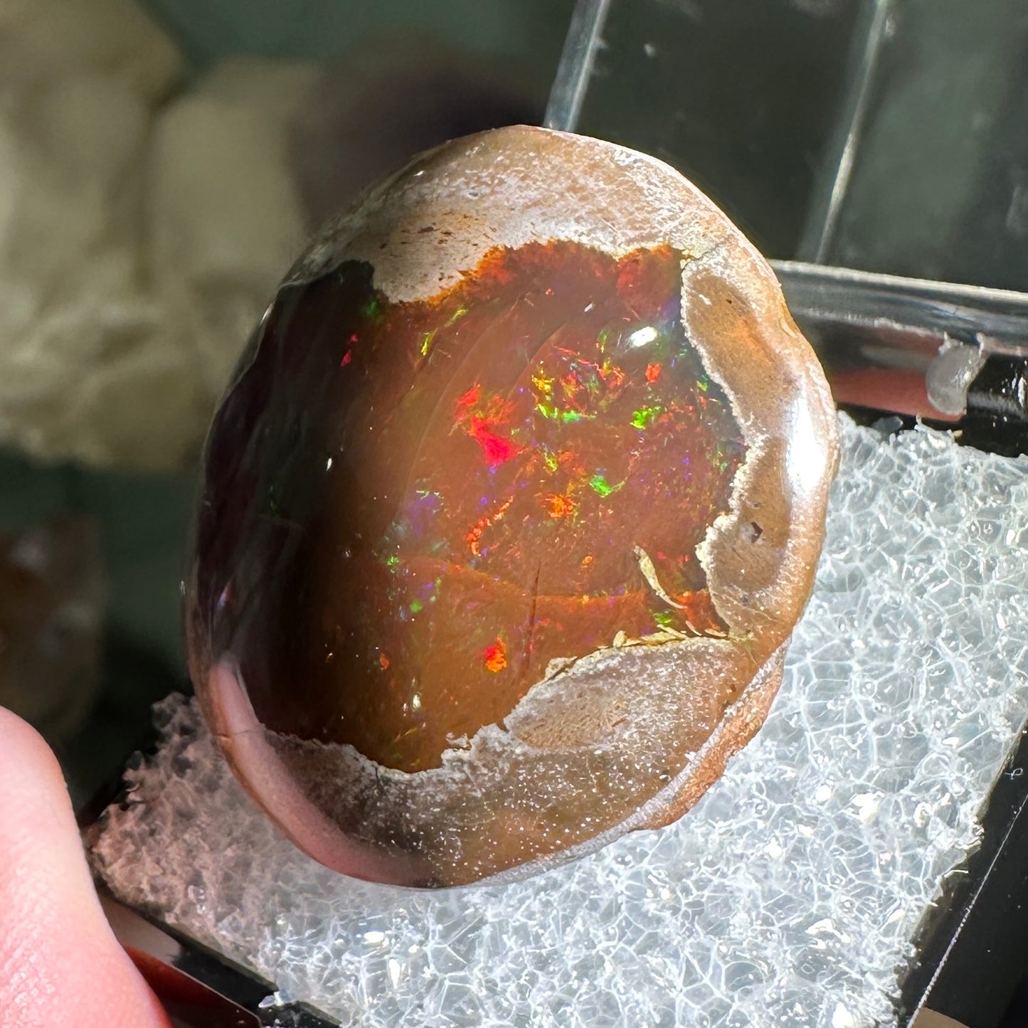 55.50ct A+ Polished Ethiopian Chocolate Opal in Perky Box