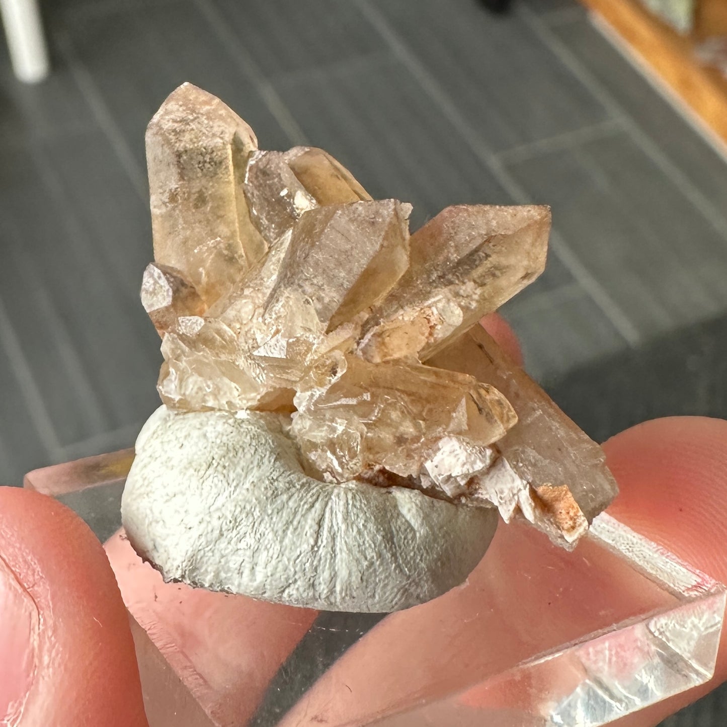 Miniature Sized Smoky Citrine from Orange River, Namibia