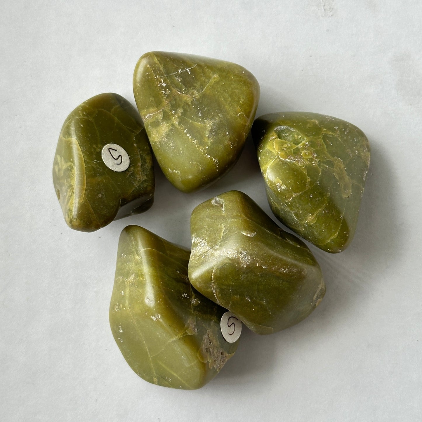Medium Tumbled Green Opal from Madagascar