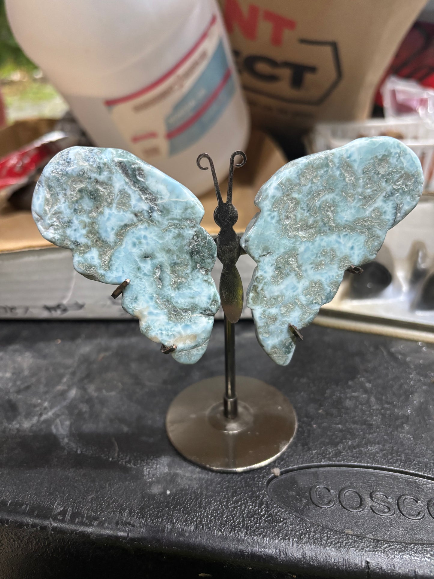 7/7/26- larimar wings- secretlydaisy19