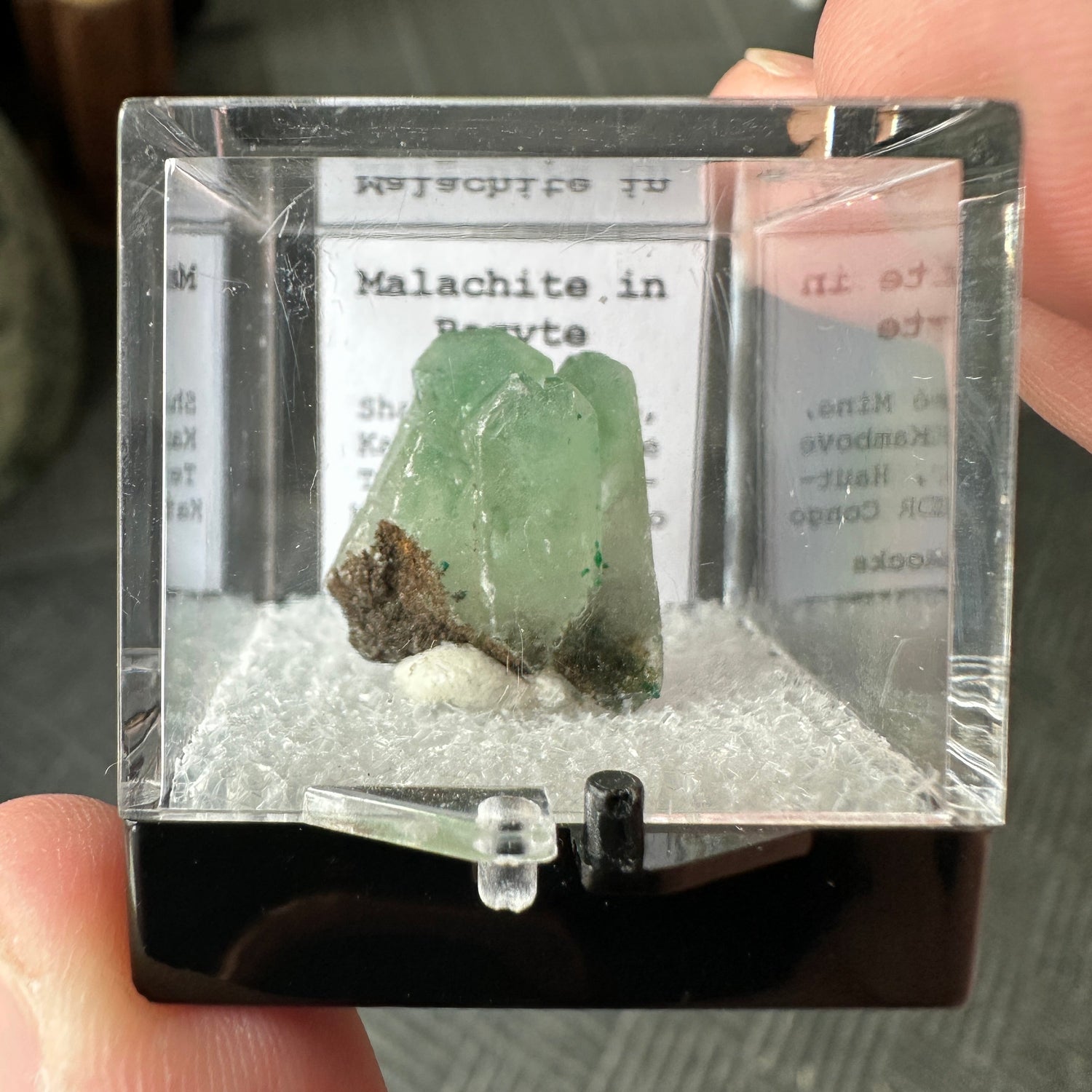 Perky Box Specimens
