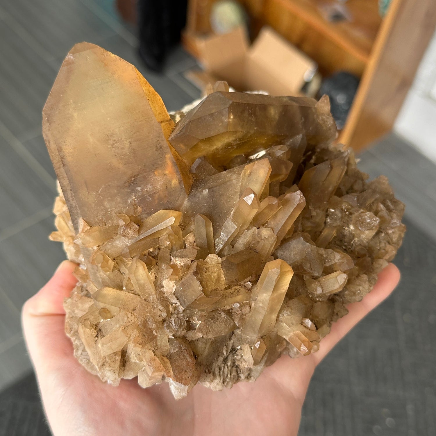 Raw Specimens