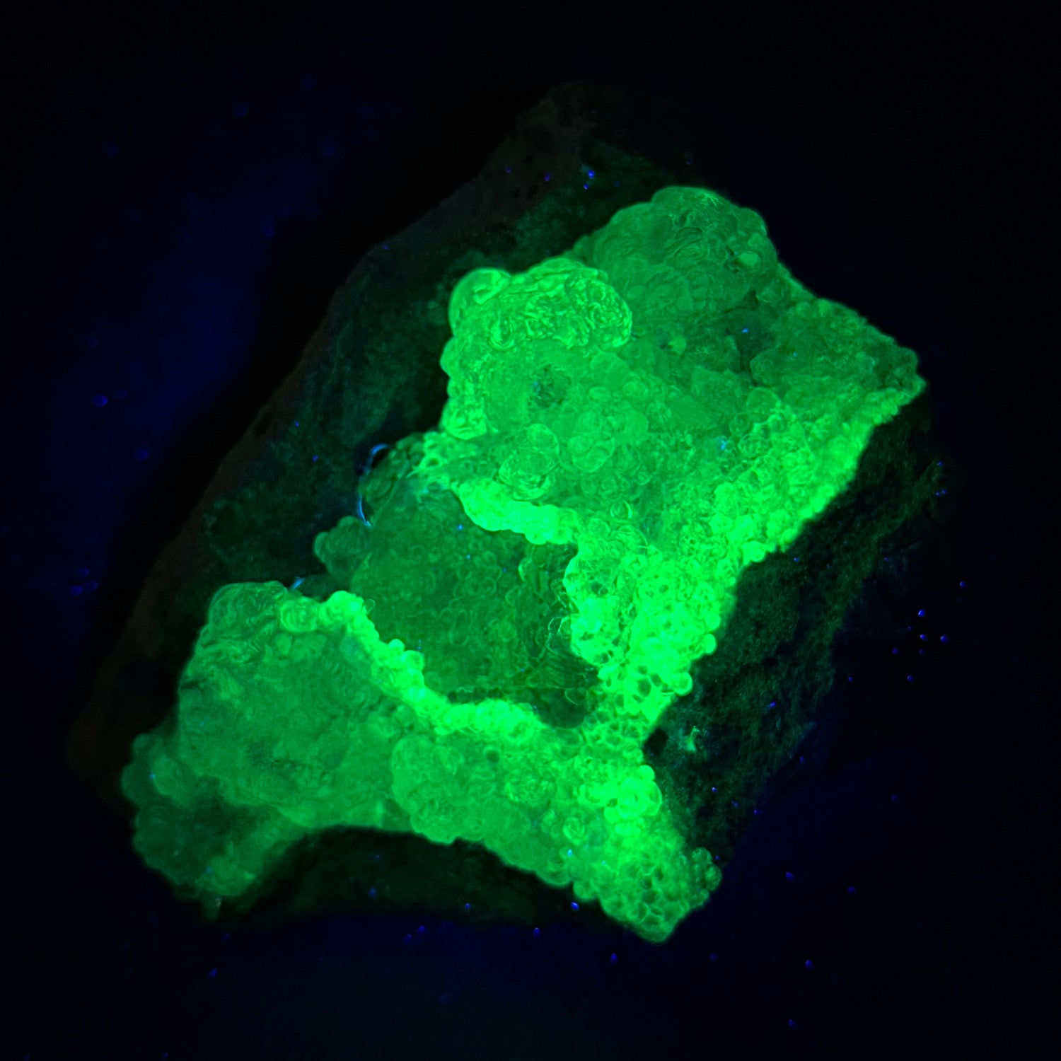 UV Reactive
