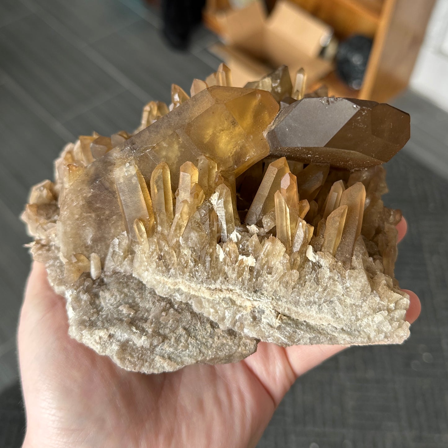 Large Cabinet Japan Law Twin Citrine from Zambia