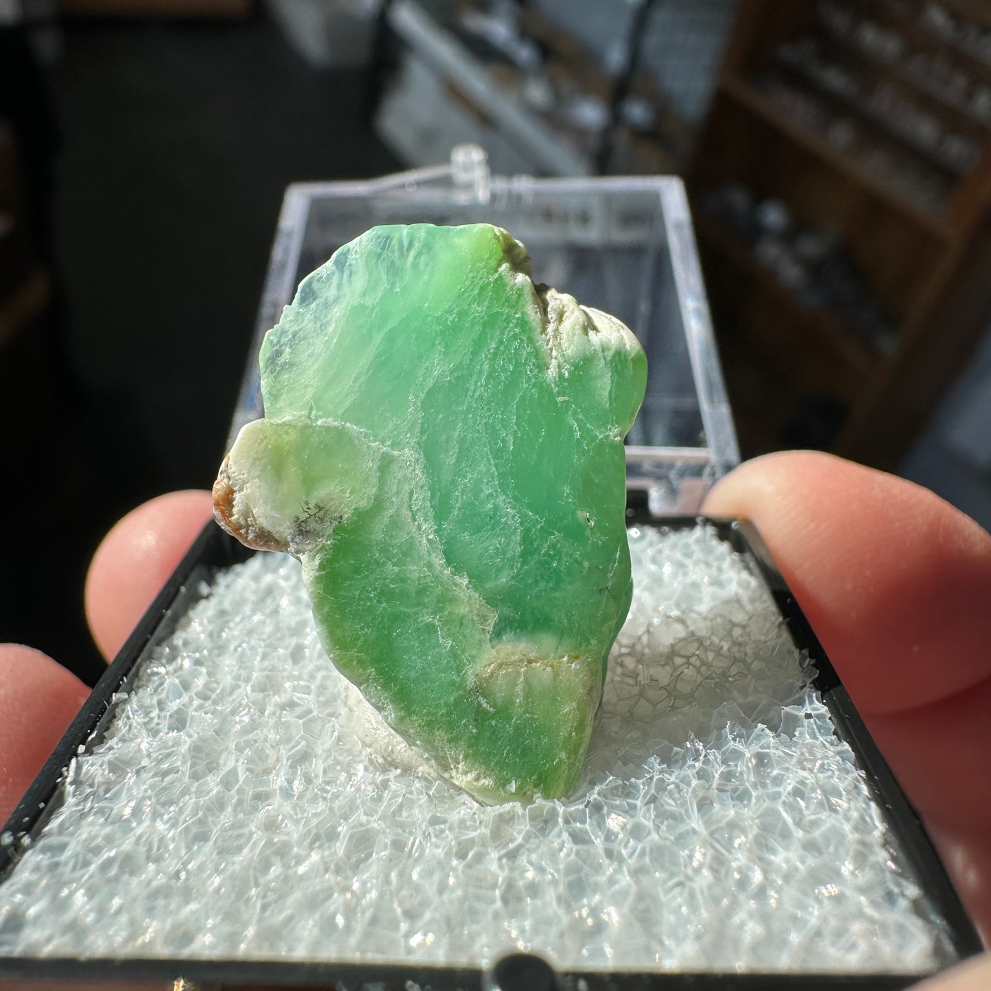 Chrysoprase Perky Box Specimen from Ethiopia