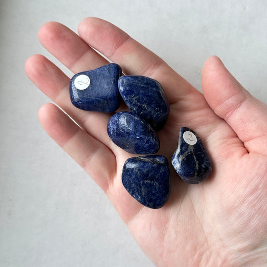 Medium Tumbled Blue Sodalite from Afghanistan