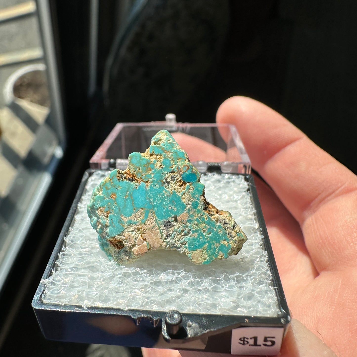 Turquoise Perky Box Specimen from Mexico