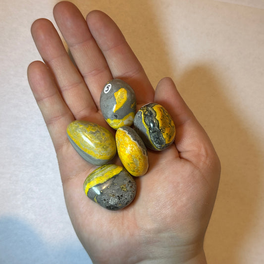 Medium Tumbled Yellow Bumblebee Jasper