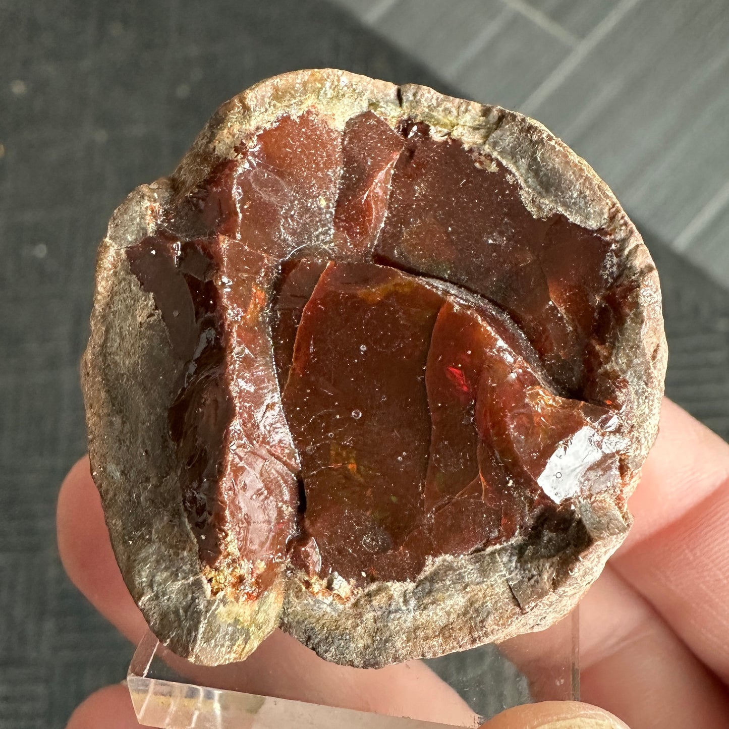 Chocolate Fire Opal Miniature from Ethiopia