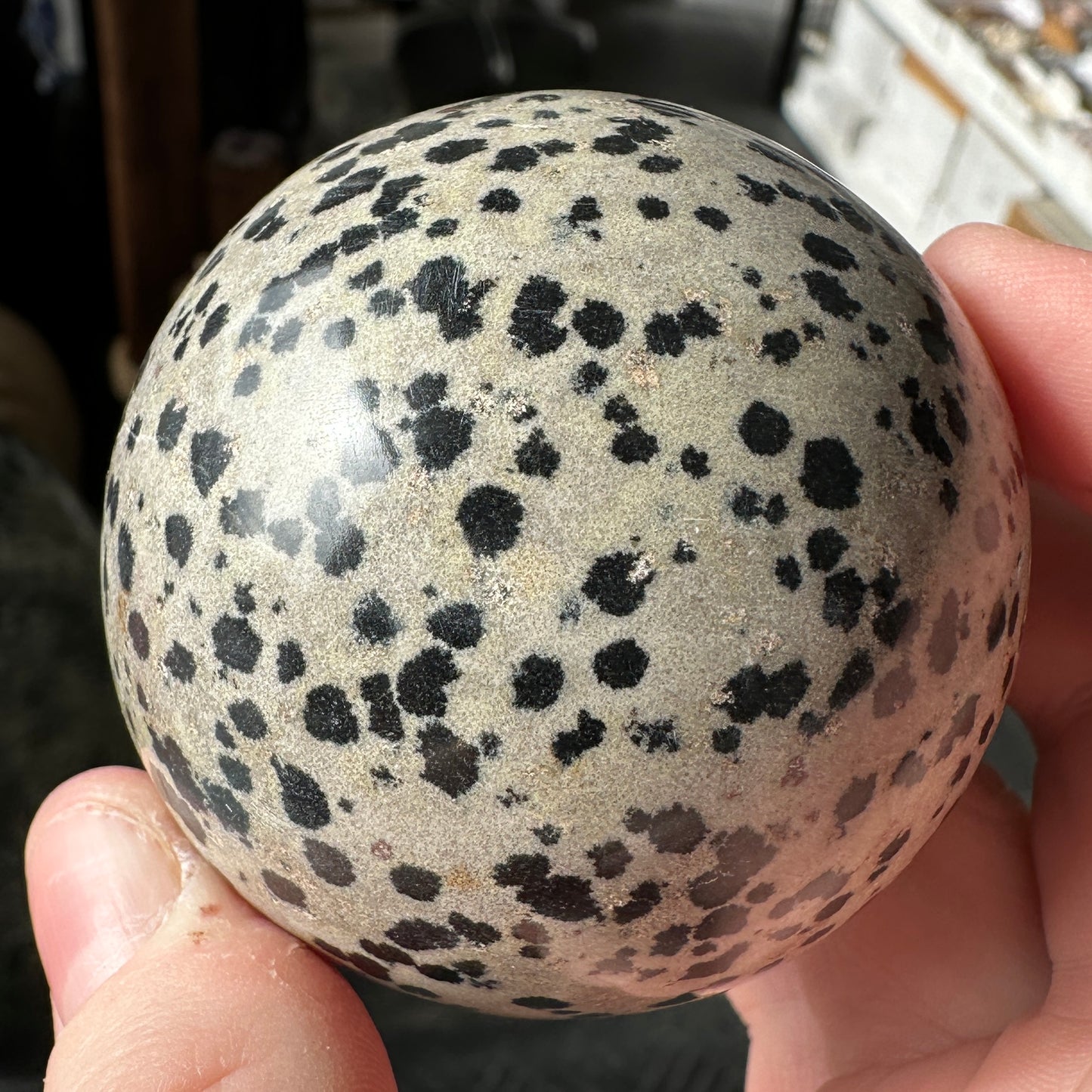 5.75cm Dalmatian Jasper Sphere from Mexico