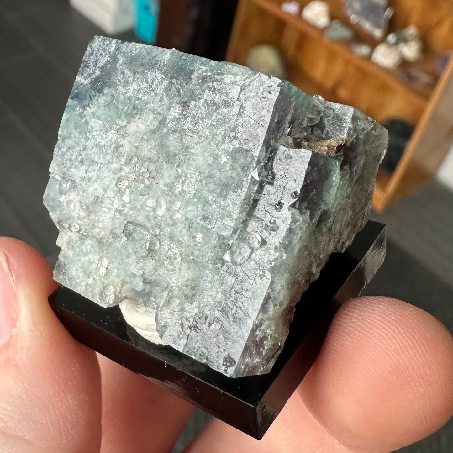 Miniature Size Green-Blue Daylight UV Reactive Fluorite with Quartz from the Hidden Forest Pocket, Diana Maria Mine, UK