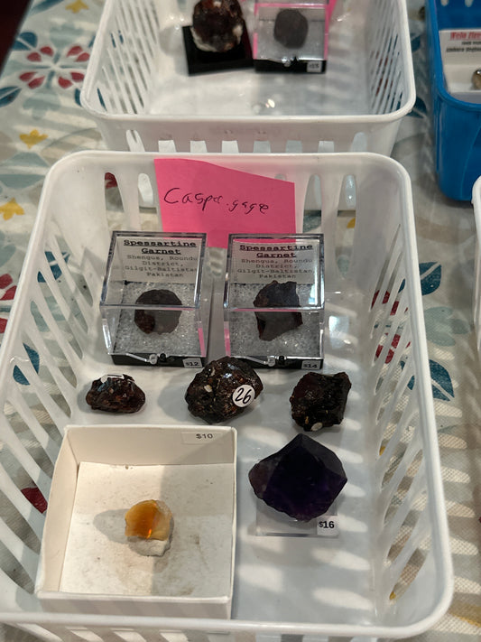 02/28/26 TikTok Live Show Order Casper.gage