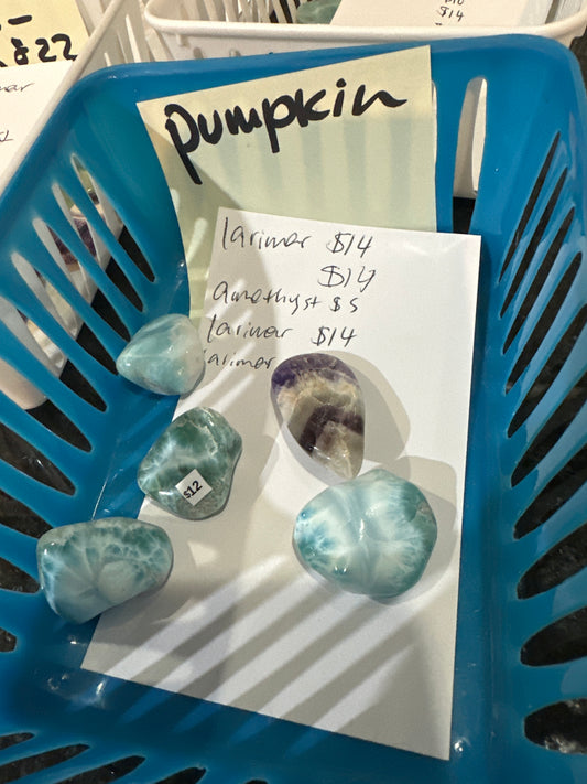EM 05/08/2026 TikTok Live Show Order Pumpkinofwa