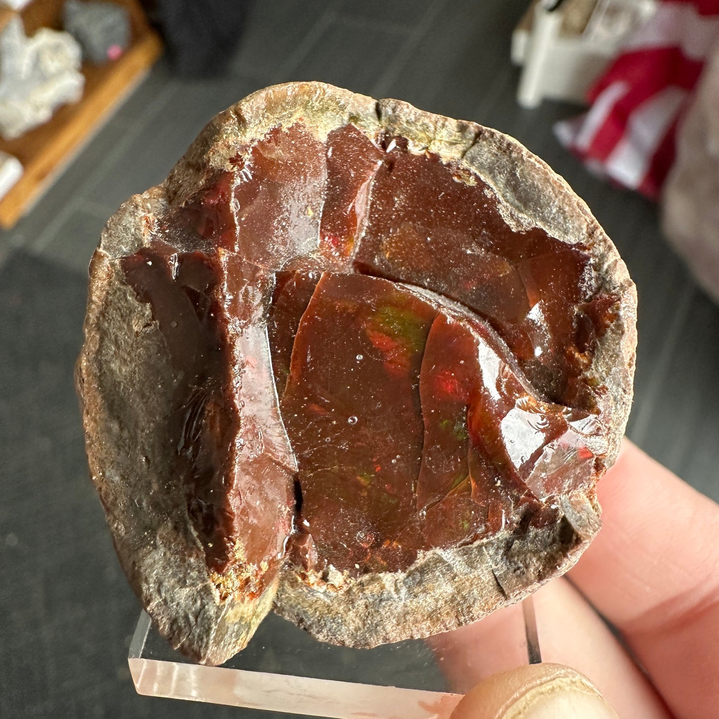 Chocolate Fire Opal Miniature from Ethiopia