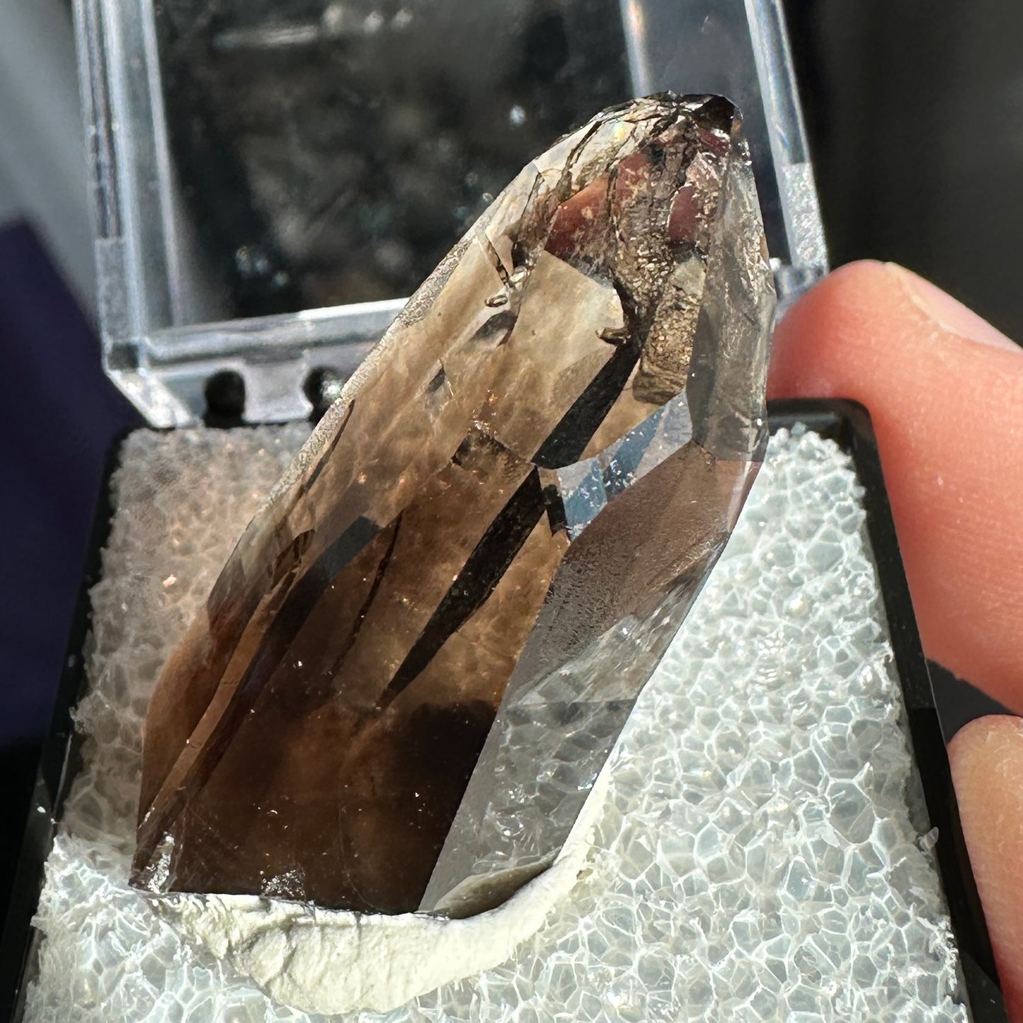 Gem Alpine Smoky Quartz Perky Box Specimen from Malawi