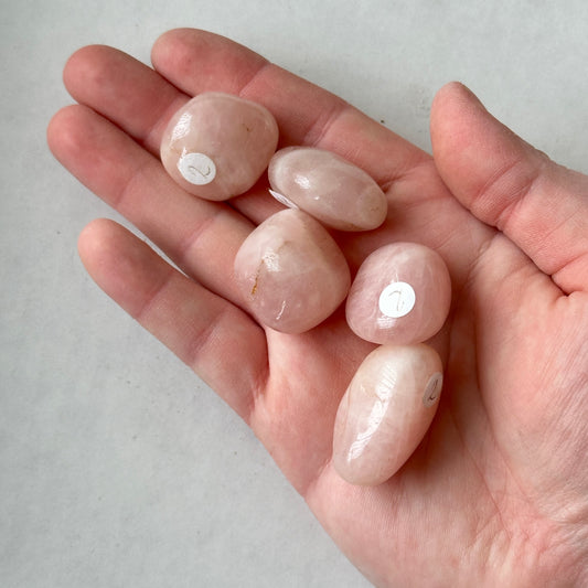 Medium Tumbled Pink Rose Quartz from Madagascar