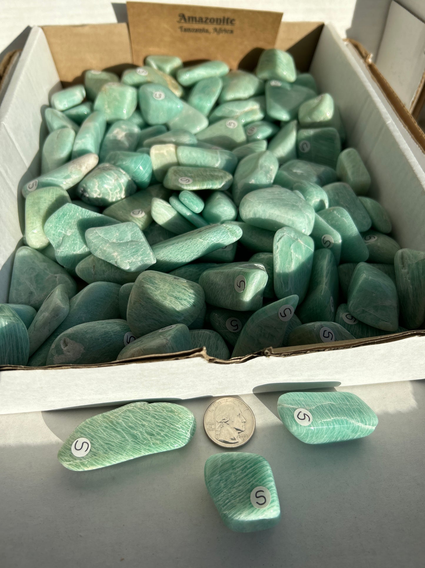 Medium Amazonite Tumbled Stone from Tanzania