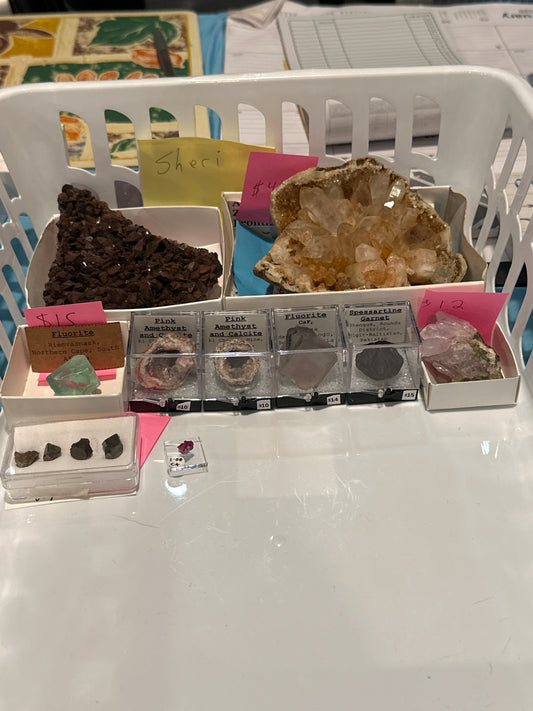 02/06/2025 TikTok Live Show Order Sheri