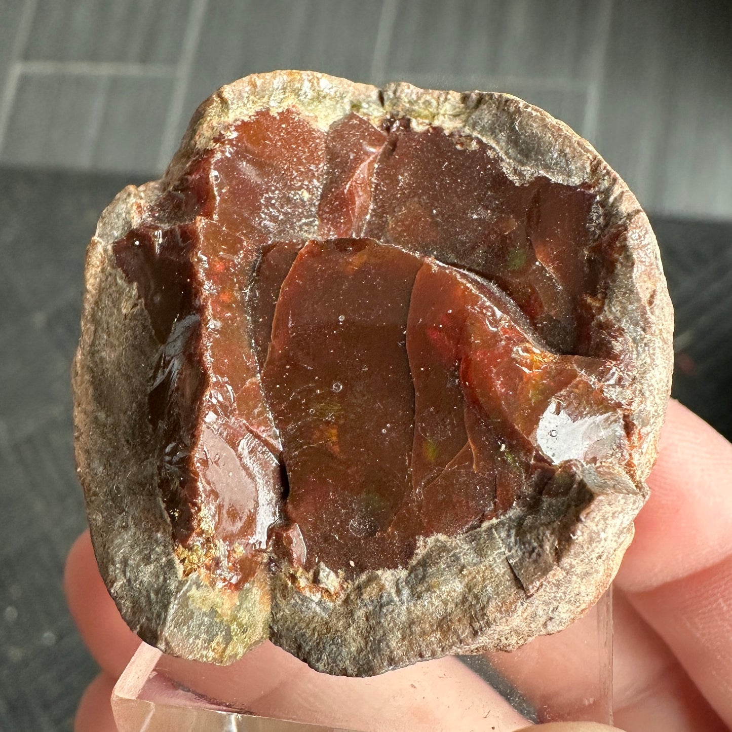 Chocolate Fire Opal Miniature from Ethiopia