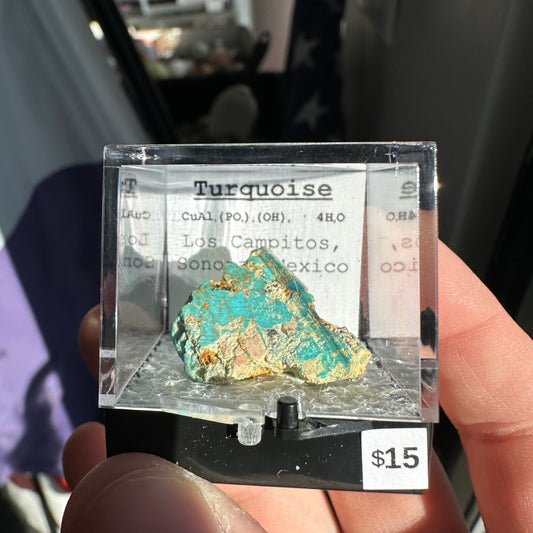 Turquoise Perky Box Specimen from Mexico