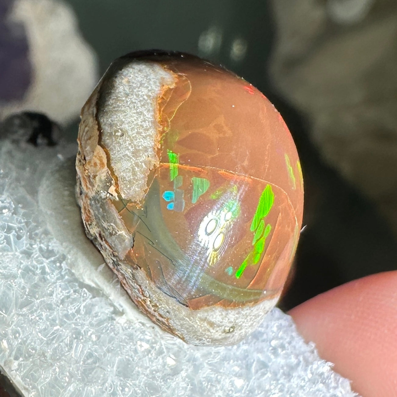 18ct A+ Polished Ethiopian Chocolate Opal in Perky Box