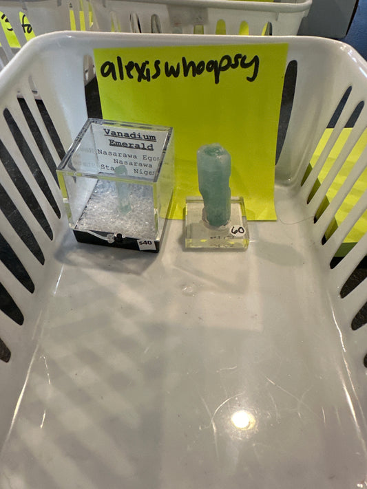 EM- 05/22/26 TikTok Live Show Order alexiswhoopsy
