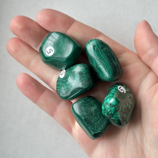 Medium Tumbled Green Malachite from DR Congo