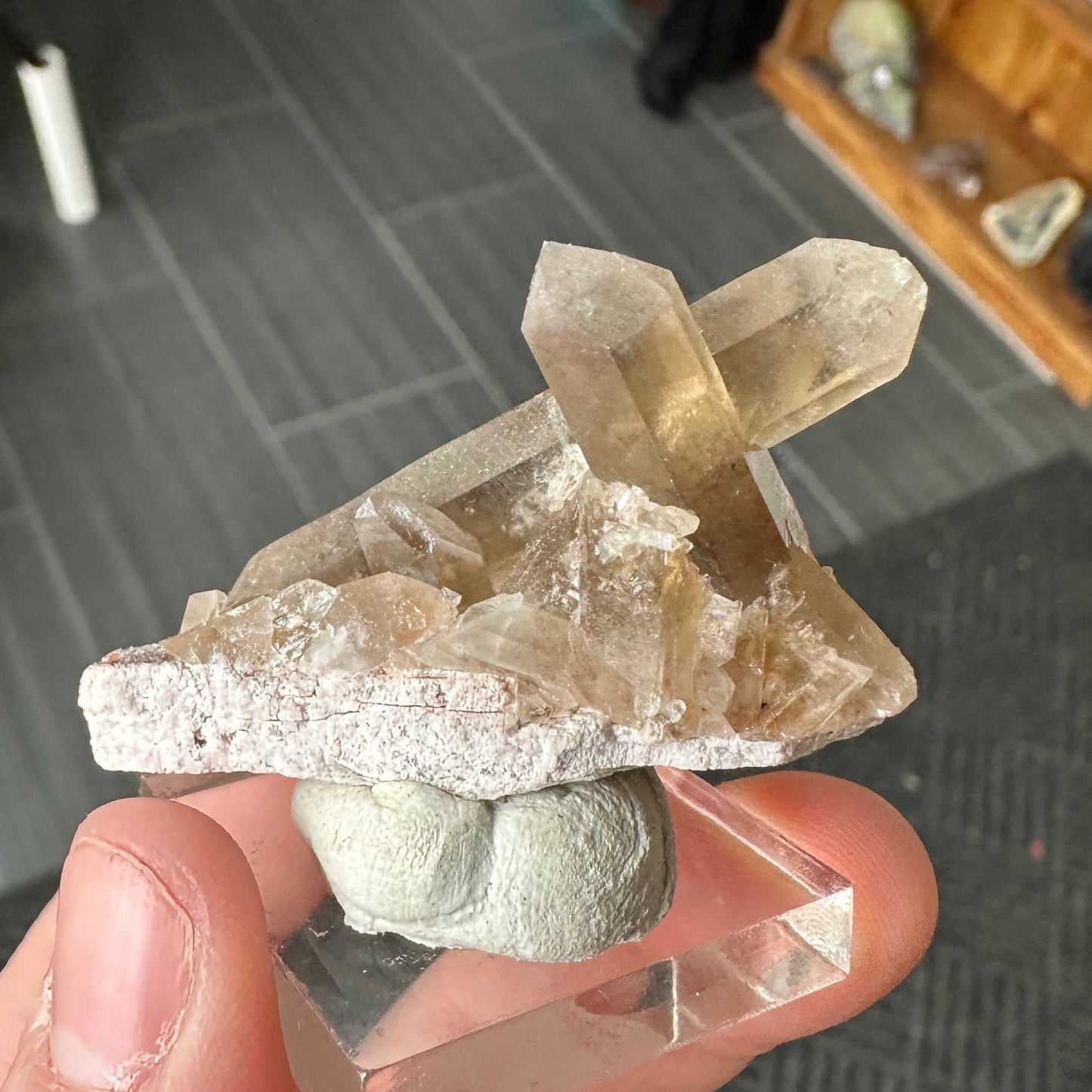Miniature Sized Smoky Citrine from Orange River, Namibia