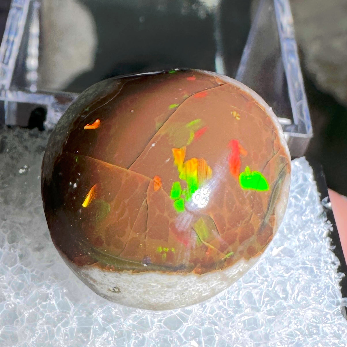 18ct A+ Polished Ethiopian Chocolate Opal in Perky Box